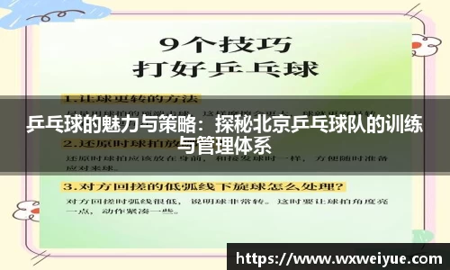 乒乓球的魅力与策略：探秘北京乒乓球队的训练与管理体系