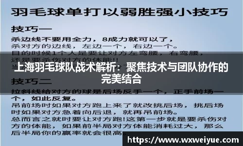上海羽毛球队战术解析：聚焦技术与团队协作的完美结合