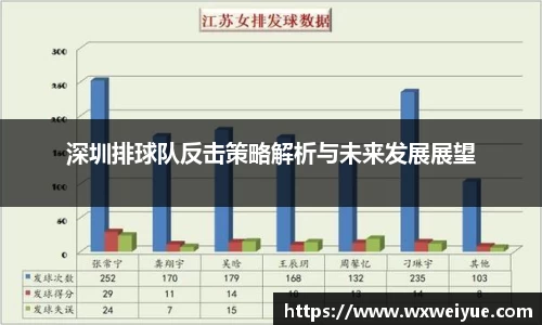 深圳排球队反击策略解析与未来发展展望