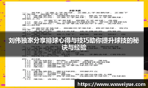 刘伟独家分享排球心得与技巧助你提升球技的秘诀与经验